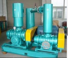 YLSR250SJ雙級(jí)串聯(lián)羅茨鼓風(fēng)機(jī)